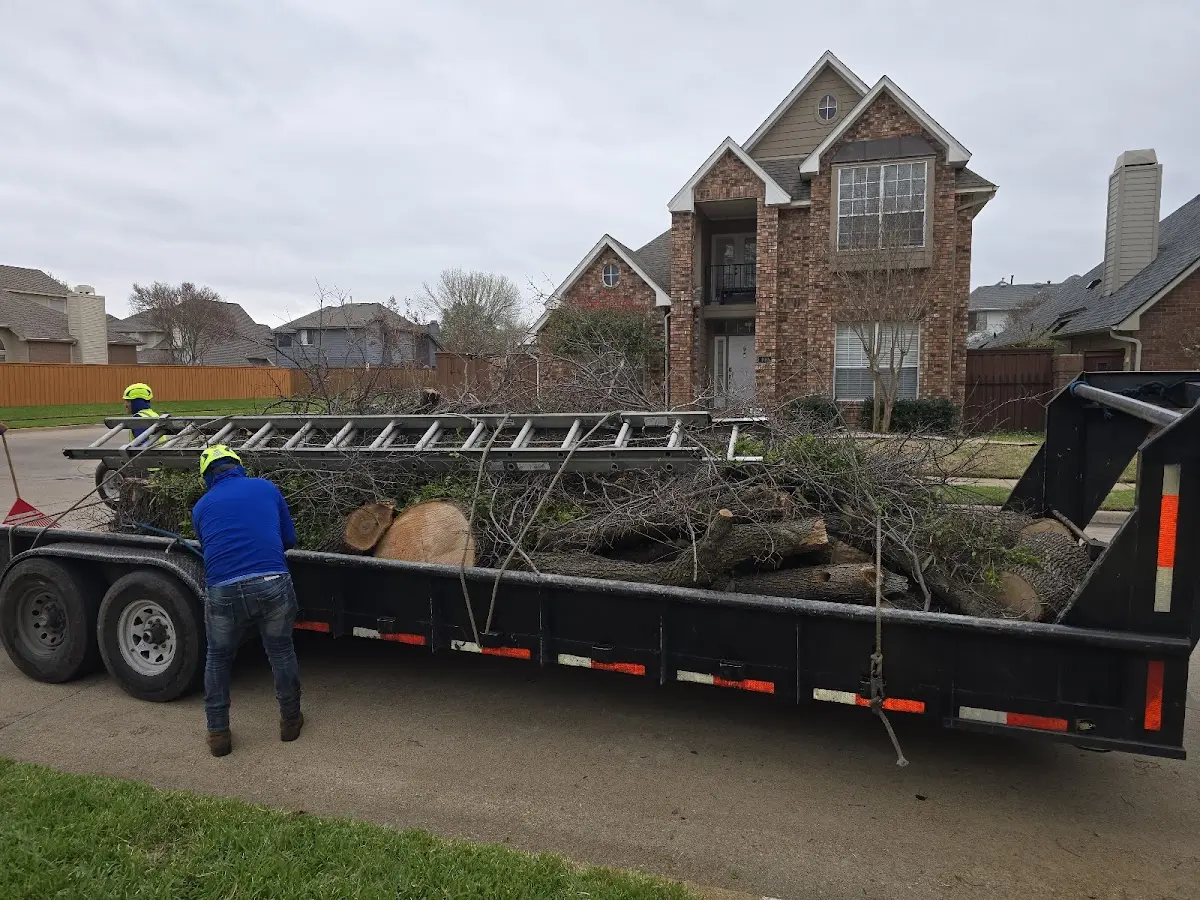 Expert Tree Fertilization with proper safety equipment in Big Springs